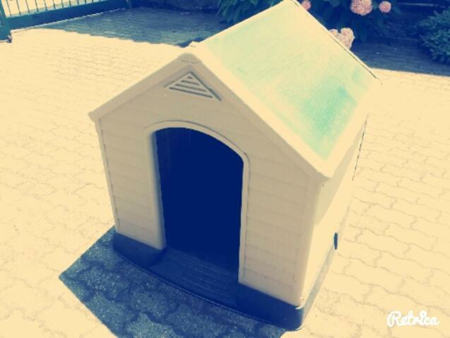 Gaietta Bed & Breakfast Frassineto Po Exterior foto